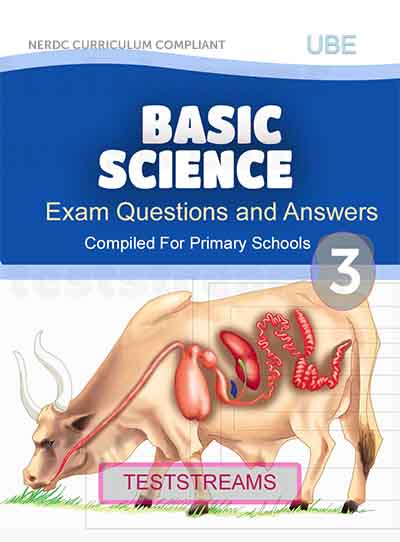 Primary 3 Basic Science Exam Questions and Answers