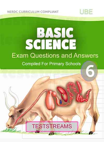 Primary 6 Basic Science Exam Questions and Answers
