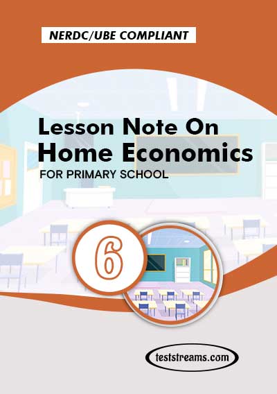 Primary 6 Lesson note On Home Economics- PDF Download